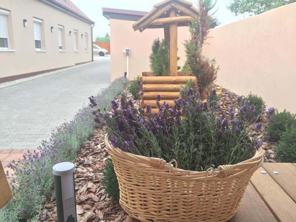 Levendula Vendeghaz Hotel Gyor Bagian luar foto